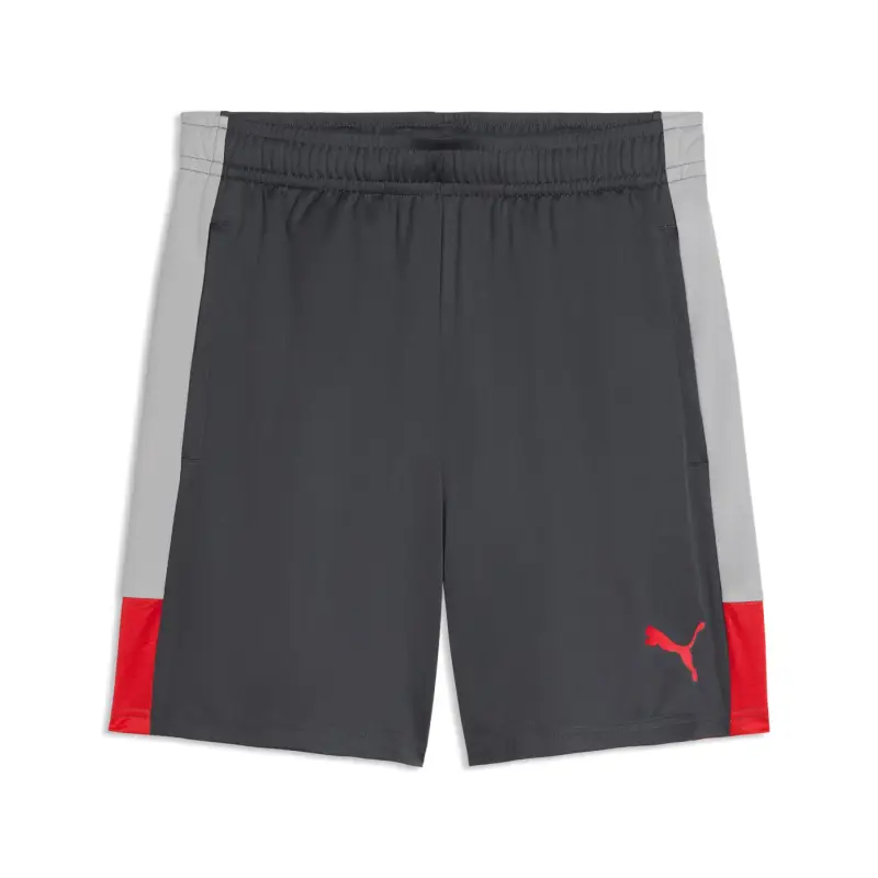 Shorts Puma Liga Gris