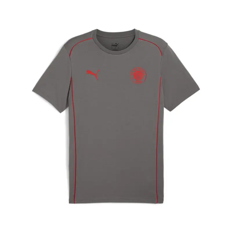 Puma T-shirt Uomo Grigio 2922480