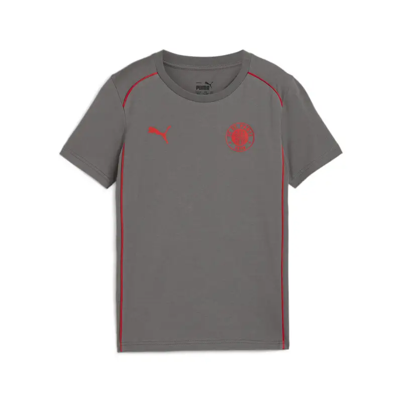Puma T-shirt Grigio 2941783
