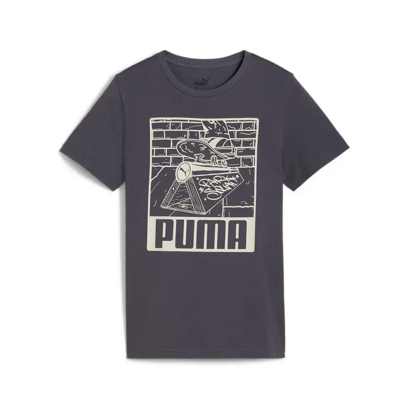 Puma T-shirt Grigio 2915374