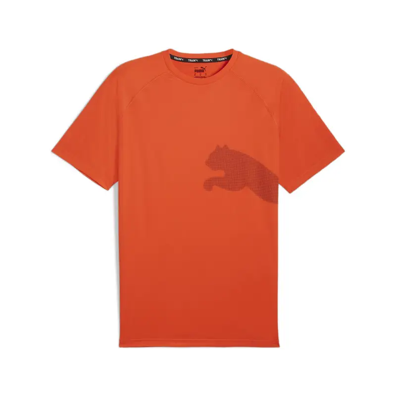 Puma T-shirt Uomo Rosso 2942922