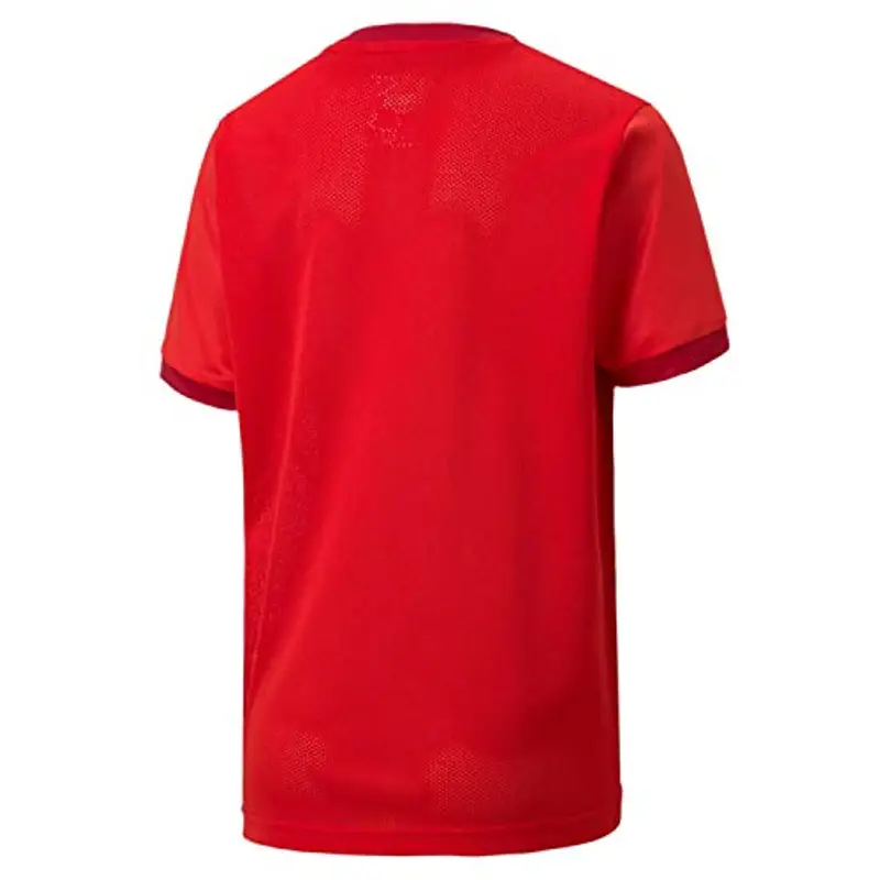 Puma Teamgoal 23 Jersey Jr, Maglietta Bambino, Red/Chili Pepper, 116 miniatura 2