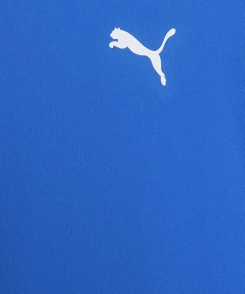 PUMA Teamrise Jersey Jr, Shirt Unisex - Bambini e ragazzi, Electric Blue Lemonade-Puma Black miniatura 3