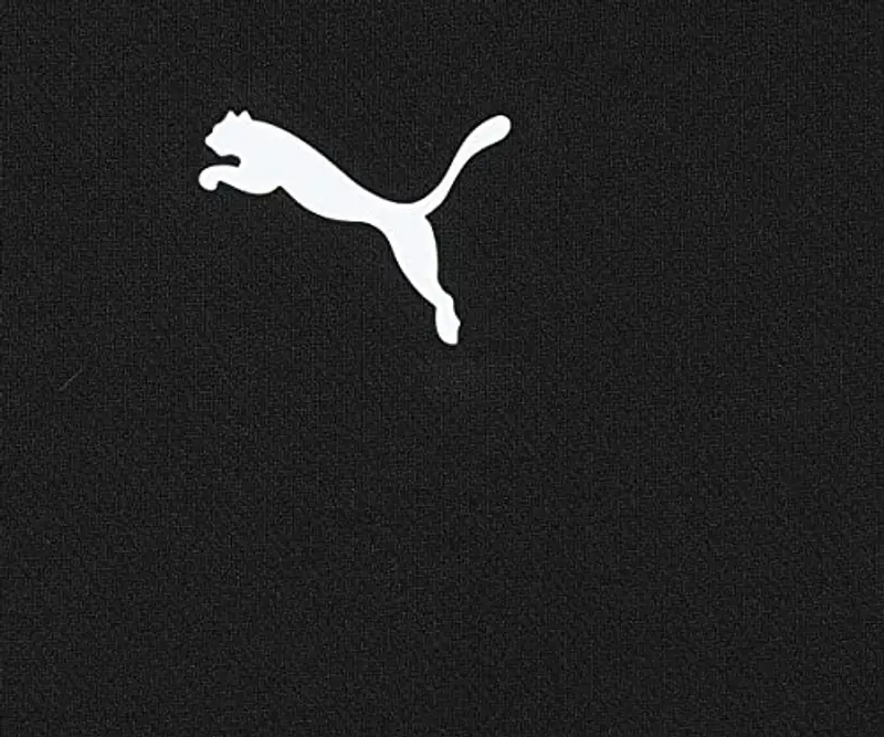 PUMA Teamrise Jersey Jr, Shirt Unisex - Bambini e ragazzi, Puma Black-Smoked Pearl-Puma White, 116 miniatura 3