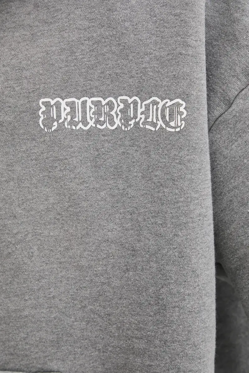 felpa in cotone HWT FLEECE ZIP FRONT HOODY uomo colore grigio con cappuccio P460-HHGG125 miniatura 5