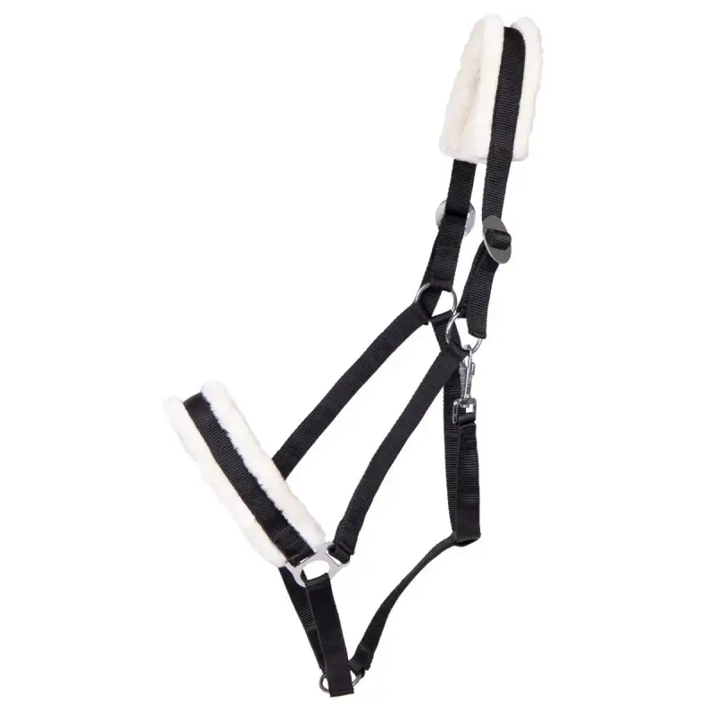 Cavezza Q-essentials Cali