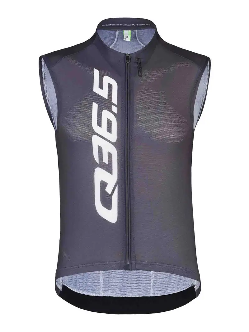 Q36.5 Gilet Argento 4227113