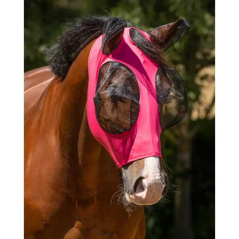 Maschera antimosche per pony QHP Super Bug