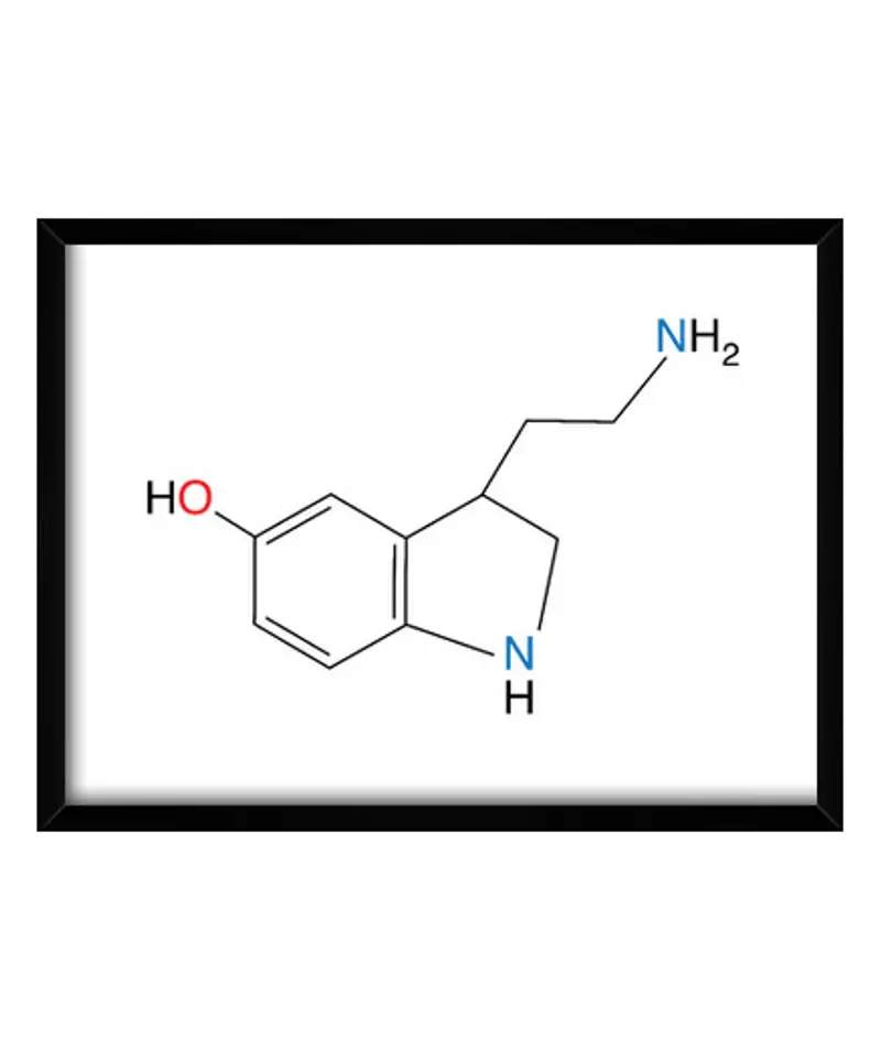 Quadro con cornice orizzontale serotonina