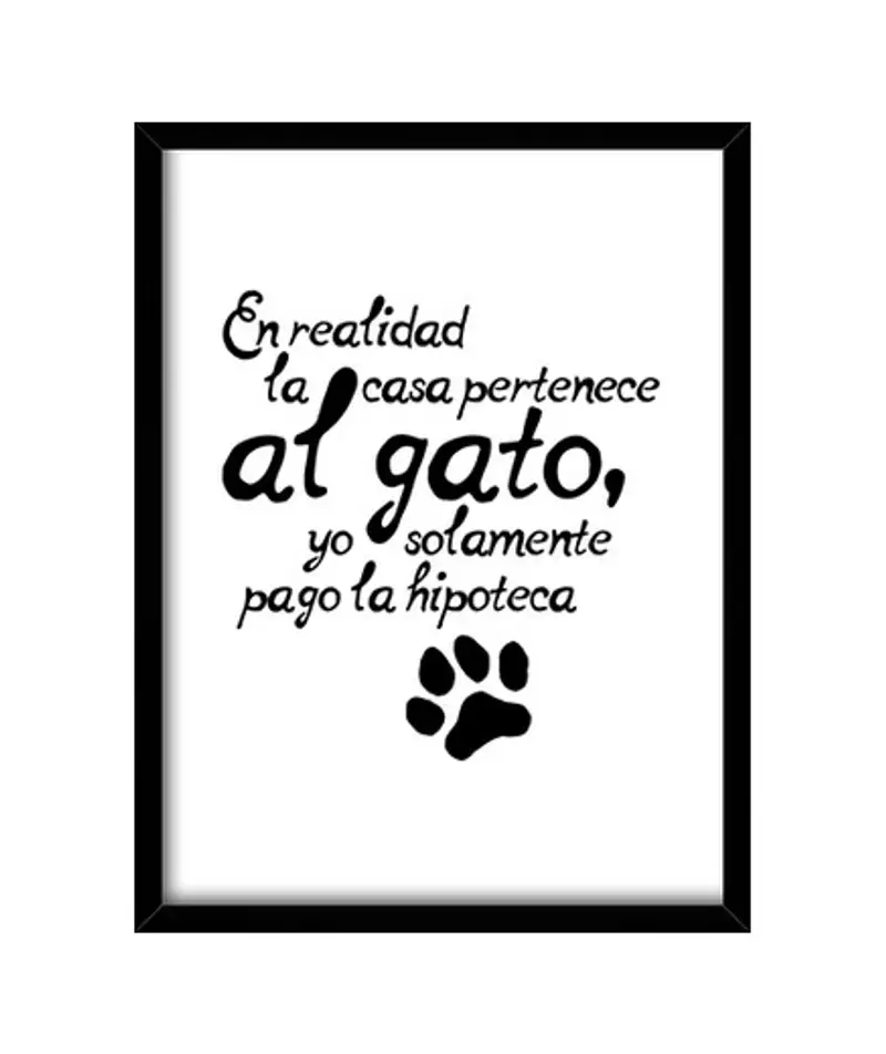 Quadro con cornice verticale il gatto di casa