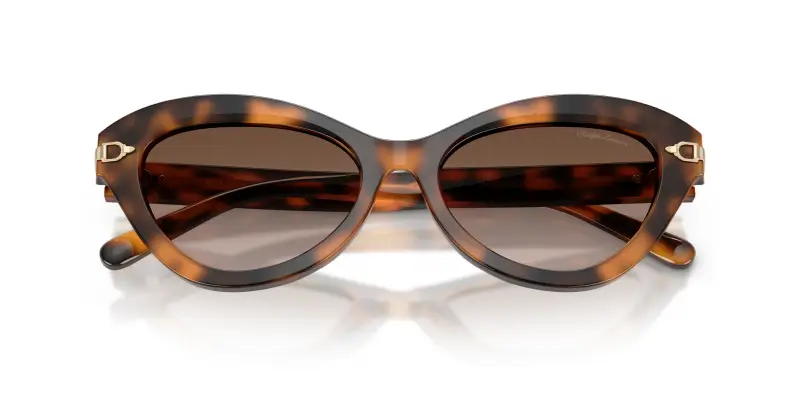 Ralph Lauren Occhiali da sole Donna Multicolore 4219557 miniatura 2