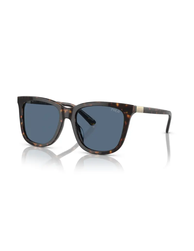 Occhiali da sole POLO RALPH LAUREN PH4201U 500380 Shiny Dark Havana Blue 55