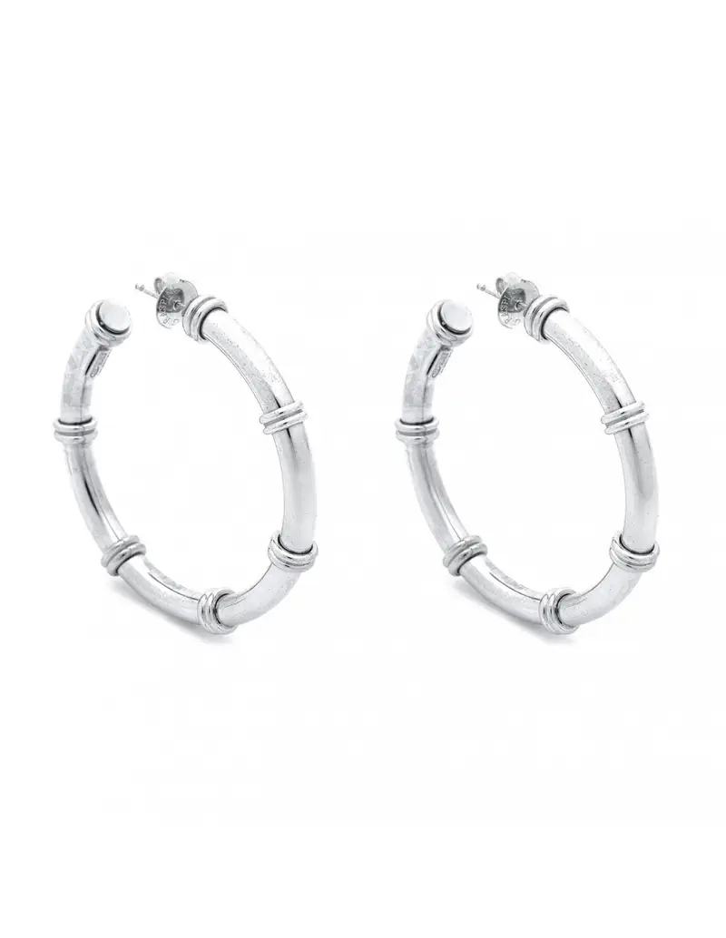 Raspini Orecchini Argento 2382449