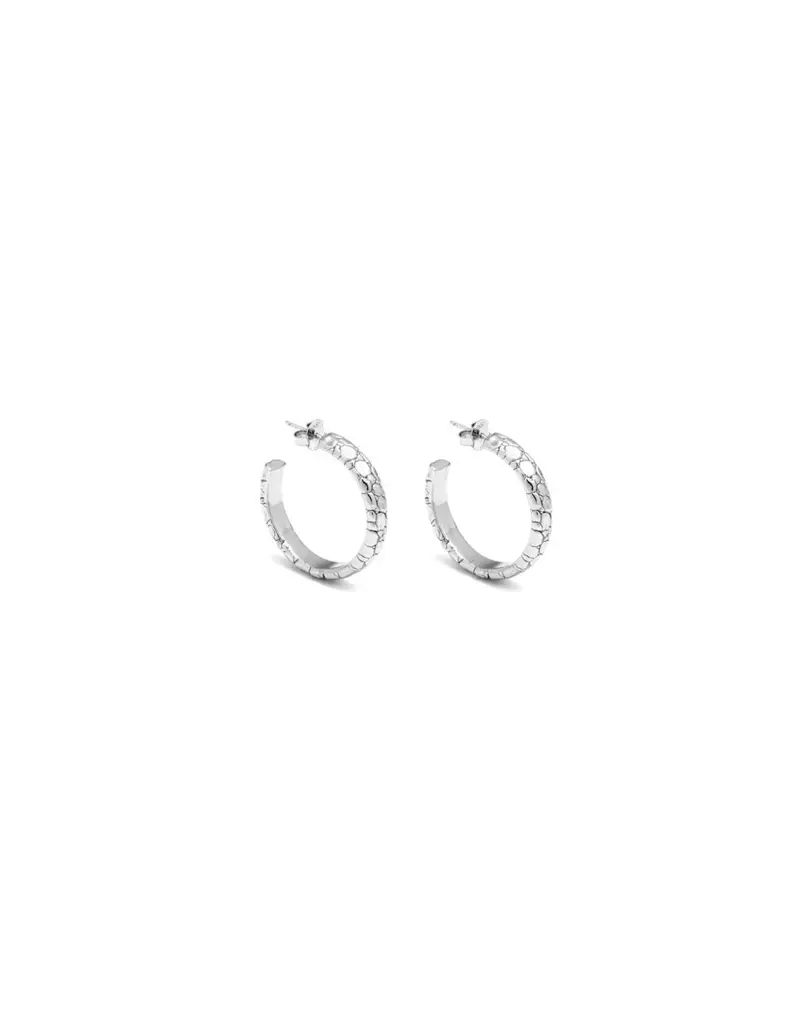 Raspini Orecchini Argento 2380338