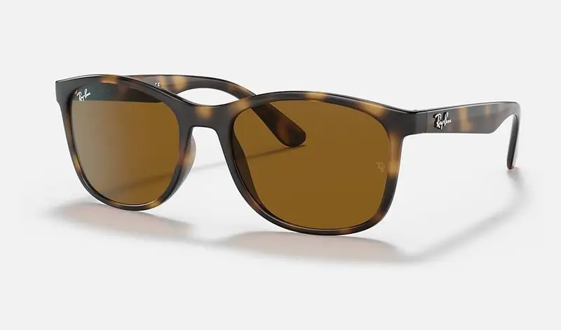 Adulto unisex Ray-Ban BROWN