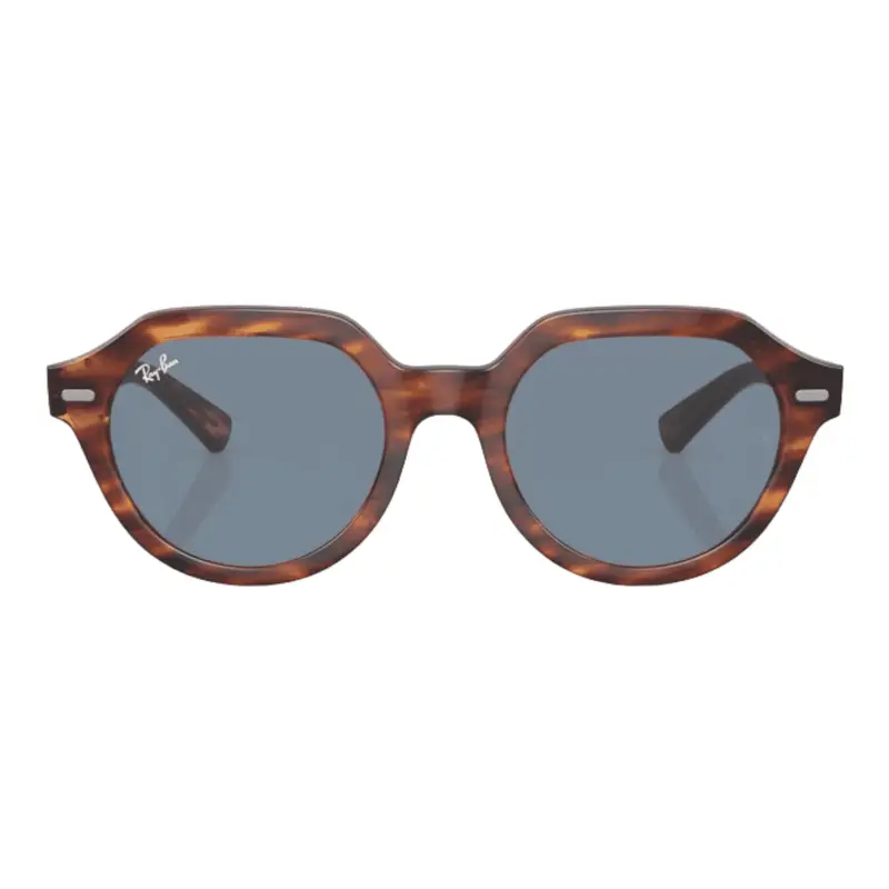Adulto unisex Ray-Ban BROWN