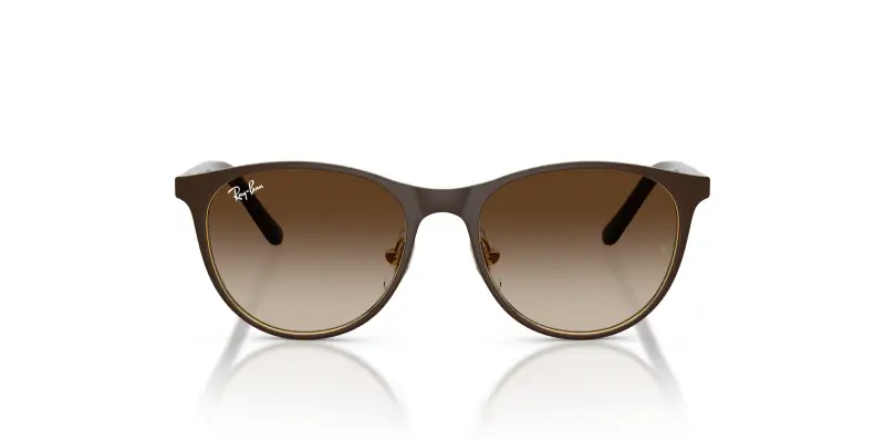 Bambino Ray - Ban RJ9552S 297/13 Occhiali da sole Metallo Marrone Marrone Pantos Normale Sfumato miniatura 3