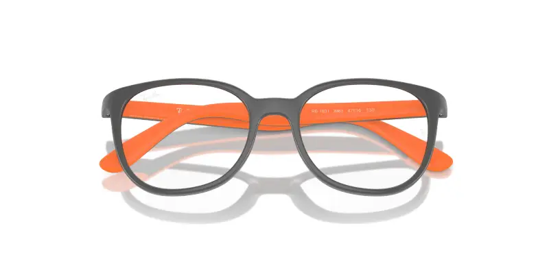 Bambino RY1631 3963 Montature da vista Iniettato Grigio Pantos miniatura 2