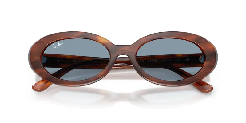 Ray - Ban Occhiali da sole Donna Marrone 4268876 miniatura 2