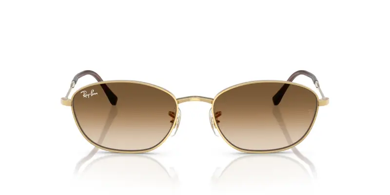 Ray - Ban Occhiali da sole Donna Marrone 3185212 miniatura 3