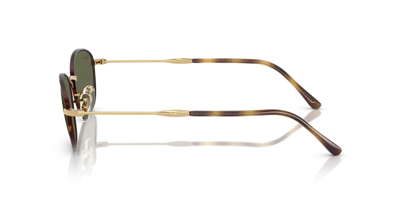 Ray - Ban Occhiali da sole Donna Testa di moro 838724 miniatura 3