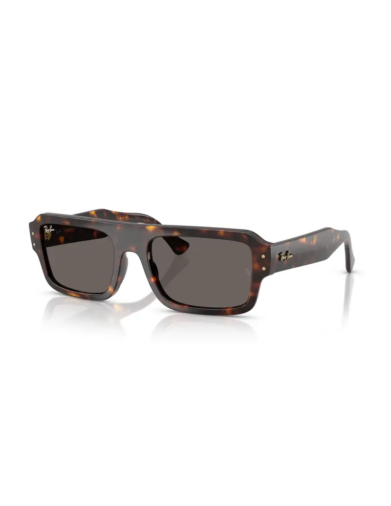 Occhiali sole Ray Ban Flacko RB4454 1359B1 56 Havana Dark Grey