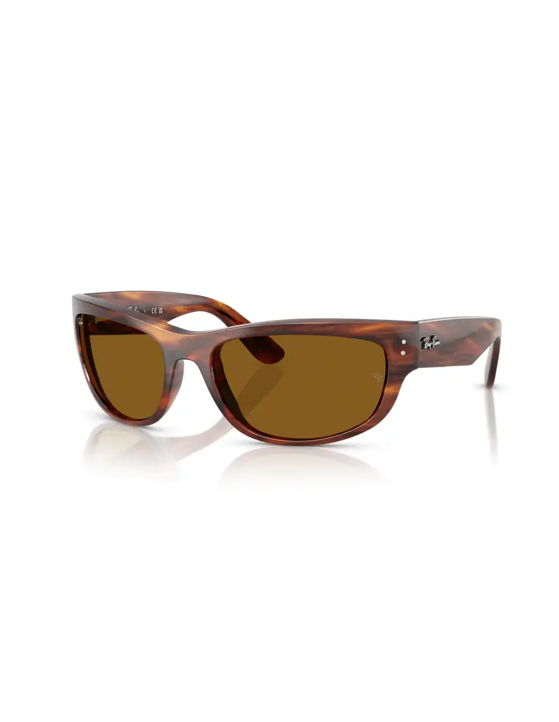Occhiali sole RAY-BAN Mega Balorama RB2289 954/33 63 Striped Havana Brown