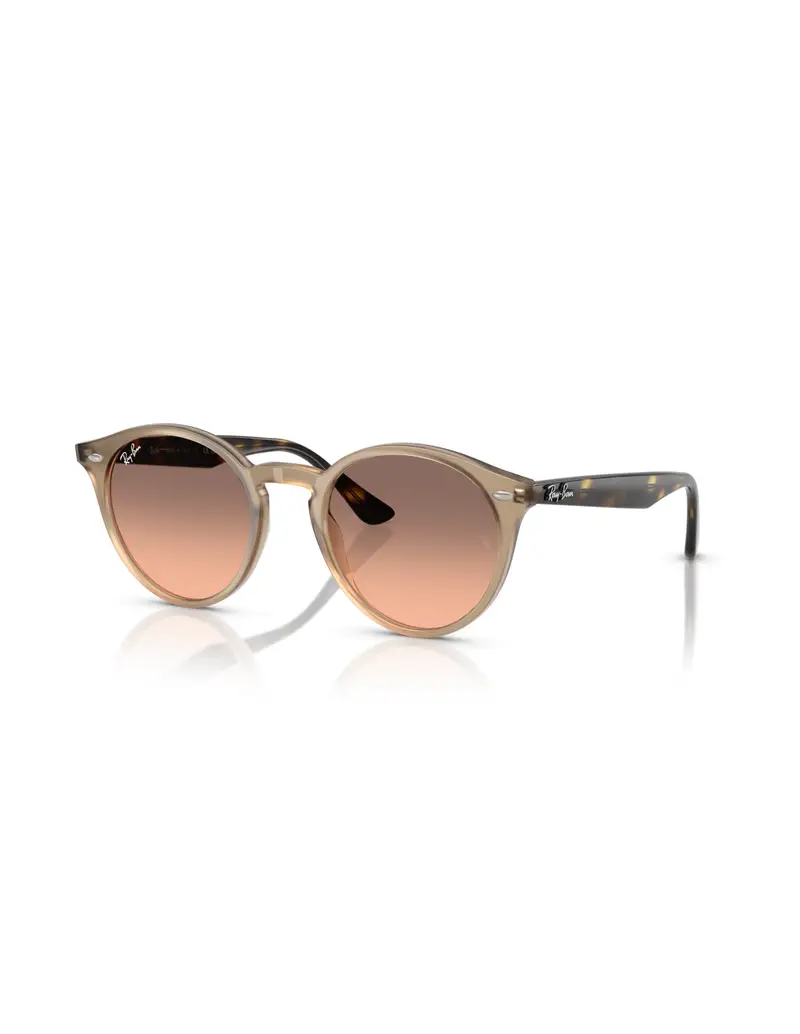 Occhiali sole RAY-BAN RB2180 678846 49 Turtle Pink Gradient Grey