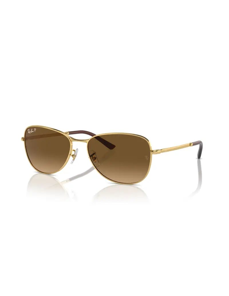 Occhiali sole RAY-BAN RB3733 001/M2 59 Gold Brown Polarized