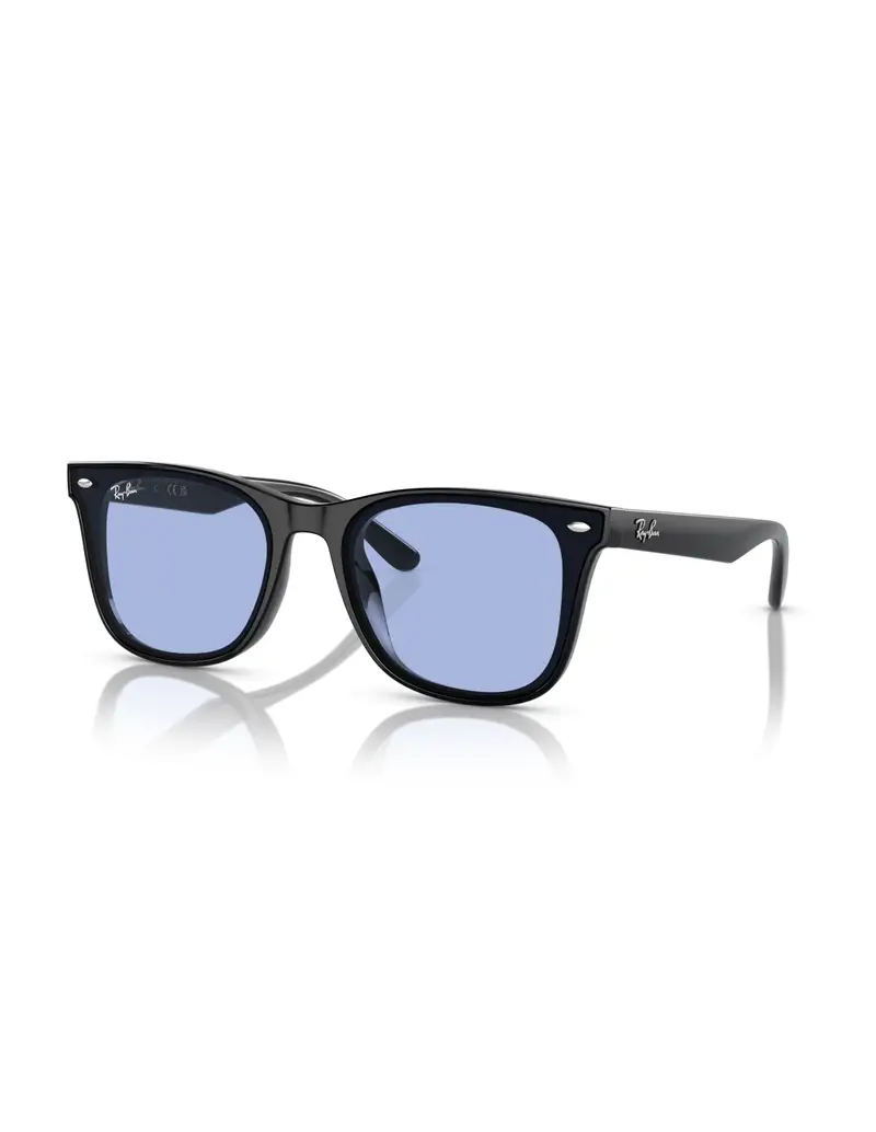 Occhiali sole RAY-BAN RB4420 601/80 65 Black Blue
