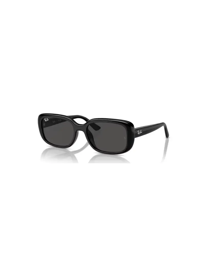 Occhiali sole Ray Ban RB4421D 667787 56 Black Dark Grey
