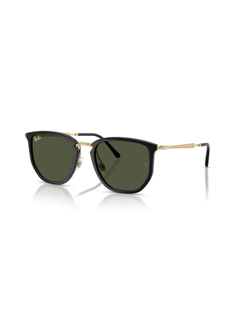 Occhiali sole Ray Ban RB4451 630631 53 Black Green