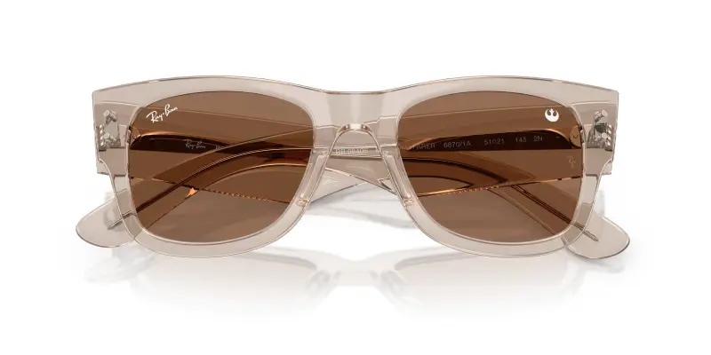 Unisex Ray - Ban RB0840S MEGA WAYFARER 68701A Occhiali da sole Acetato Marrone Marrone Squadrata Normale miniatura 2