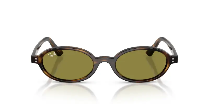 Unisex Ray - Ban RB4472 1359/2 Occhiali da sole Iniettato Tartaruga Verde Rotonda Normale miniatura 3