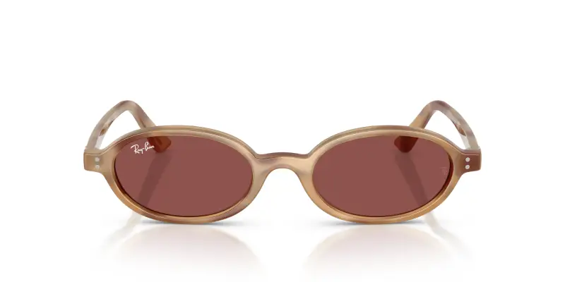 Unisex Ray - Ban RB4472 685675 Occhiali da sole Iniettato Tartaruga Viola Rotonda Normale miniatura 3