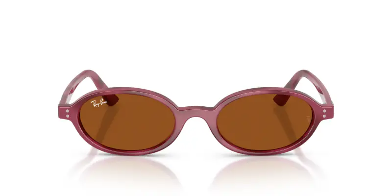 Unisex Ray - Ban RB4472 685773 Occhiali da sole Iniettato Viola Marrone Rotonda Normale miniatura 3