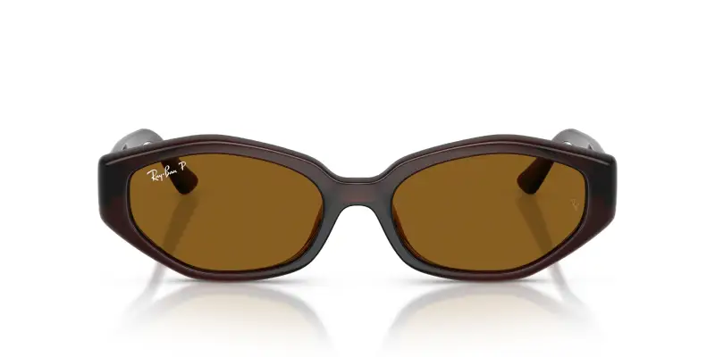 Unisex Ray - Ban RB4473D 714/83 Occhiali da sole Iniettato Marrone Marrone Geometrica Polarizzata miniatura 3