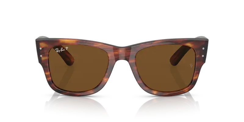 Ray - Ban Unisex RB0840S MEGA WAYFARER 954/57 Occhiali da sole Acetato Marrone Marrone Squadrata Polarizzata miniatura 2
