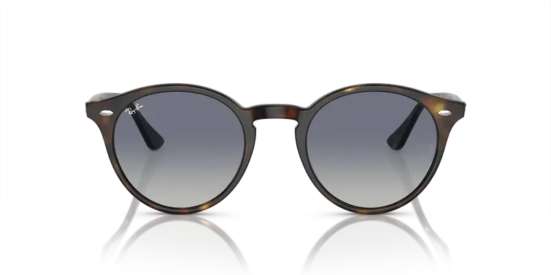 Ray - Ban Unisex RB2180 710/4L Occhiali da sole Acetato Tartaruga Grigio Rotonda Normale Sfumato miniatura 2