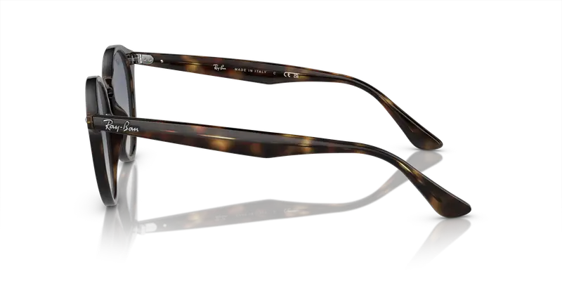 Ray - Ban Unisex RB2180 710/4L Occhiali da sole Acetato Tartaruga Grigio Rotonda Normale Sfumato miniatura 3