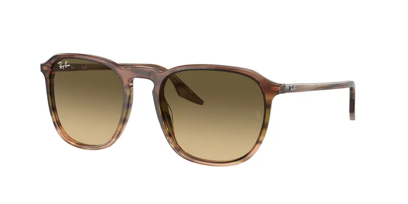 Unisex RB2203 13920A Occhiali da sole Acetato Marrone Marrone Squadrata Normale Sfumato