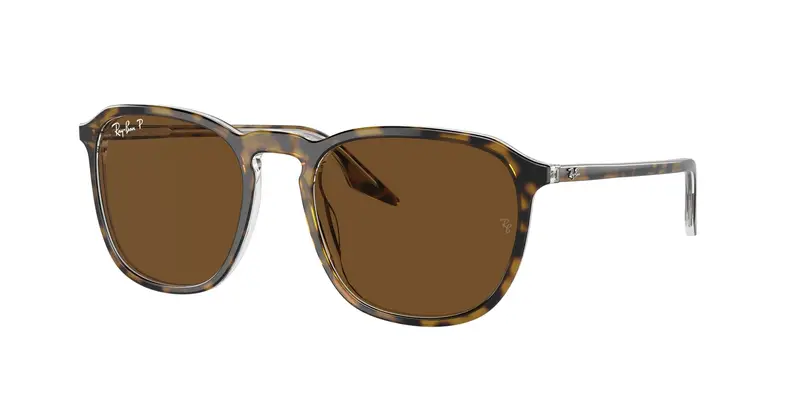 Unisex RB2203 139357 Occhiali da sole Acetato Tartaruga Marrone Squadrata Polarizzata