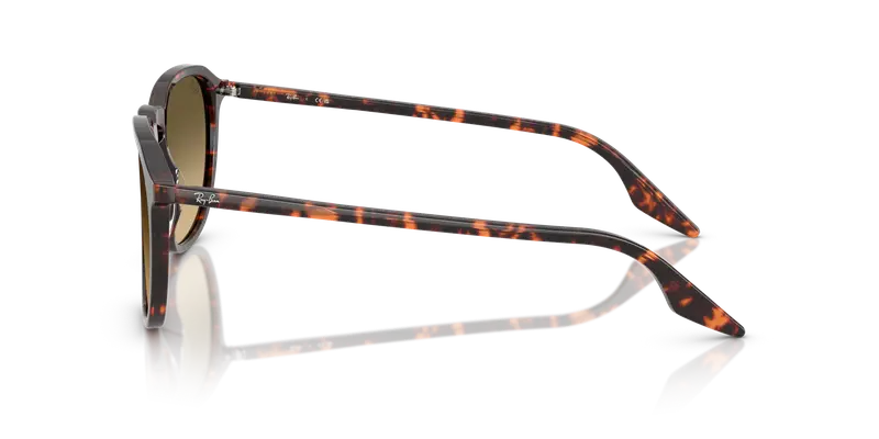 Ray - Ban Unisex RB2203 14290A Occhiali da sole Acetato Rosso Marrone Squadrata Normale Sfumato miniatura 3