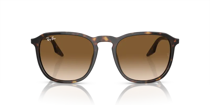 Ray - Ban Unisex RB2203 902/51 Occhiali da sole Acetato Tartaruga Marrone Squadrata Normale Sfumato miniatura 2