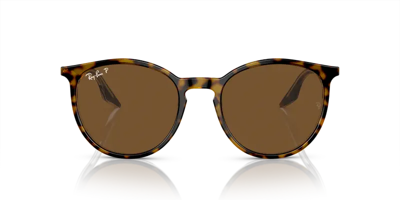 Ray - Ban Unisex RB2204 139357 Occhiali da sole Acetato Marrone Marrone Pantos Polarizzata miniatura 2
