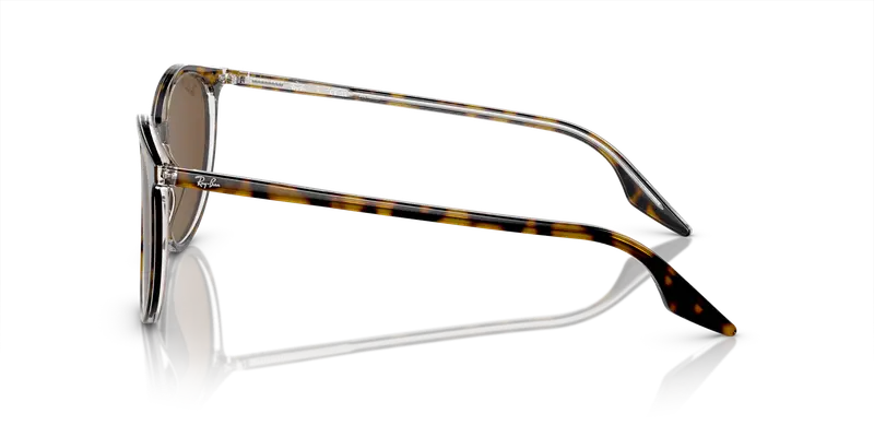 Ray - Ban Unisex RB2204 139357 Occhiali da sole Acetato Marrone Marrone Pantos Polarizzata miniatura 3