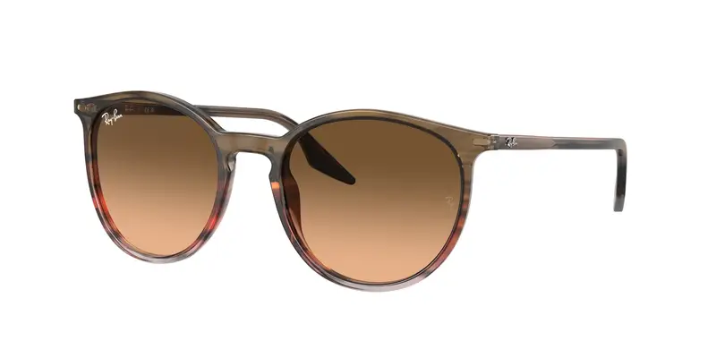 Ray - Ban Unisex RB2204  13953B Occhiali da sole Acetato Marrone Rosa Pantos Normale Sfumato