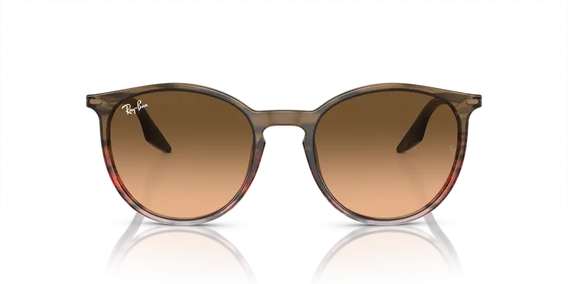 Ray - Ban Unisex RB2204 13953B Occhiali da sole Acetato Marrone Rosa Pantos Normale Sfumato miniatura 2