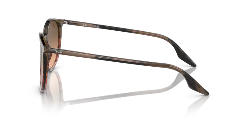 Ray - Ban Unisex RB2204 13953B Occhiali da sole Acetato Marrone Rosa Pantos Normale Sfumato miniatura 3