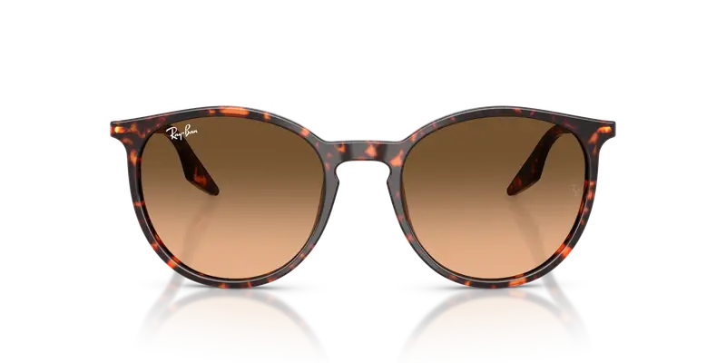 Ray - Ban Unisex RB2204 14293B Occhiali da sole Acetato Rosso Marrone Pantos Normale Sfumato miniatura 2